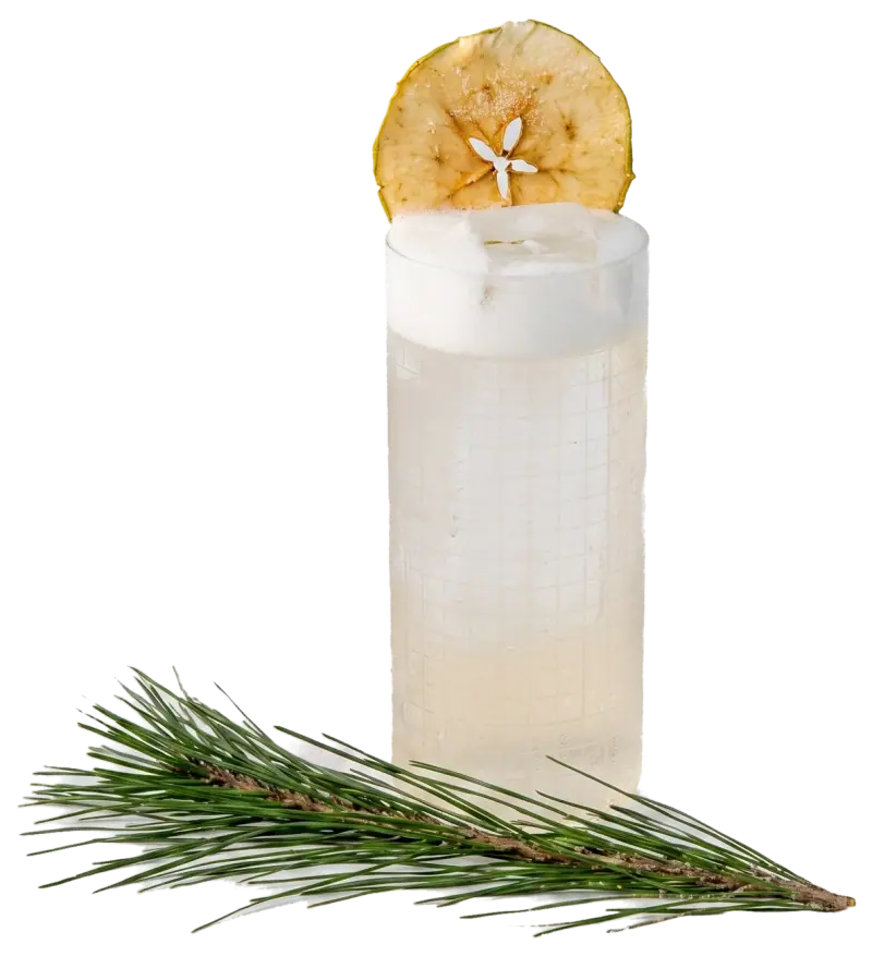 Green Jar's Apple Fizz in a highball, garnished with a dried apple slice and a pine sprig.