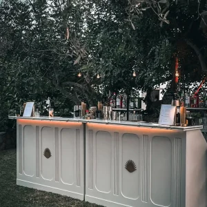 double-white-bar